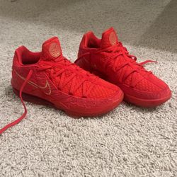 Titan x LeBron 17 Low 'Agimat size 9.5