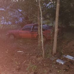 1977 NOVA Concorse