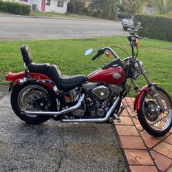 1984 Harley davidson Softail