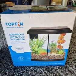 Betta Duo aquarium new