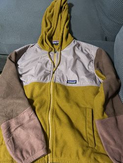 Patagonia Microdini Hoody