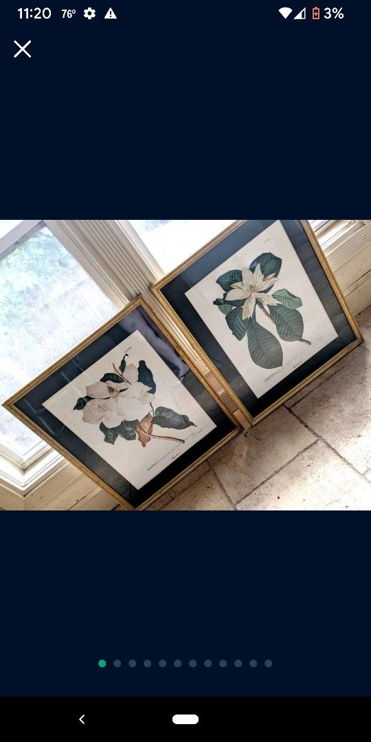 Set Of Two Pictures Wall Decor In Good Condition