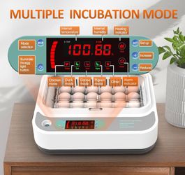 18 Eggs Incubator
