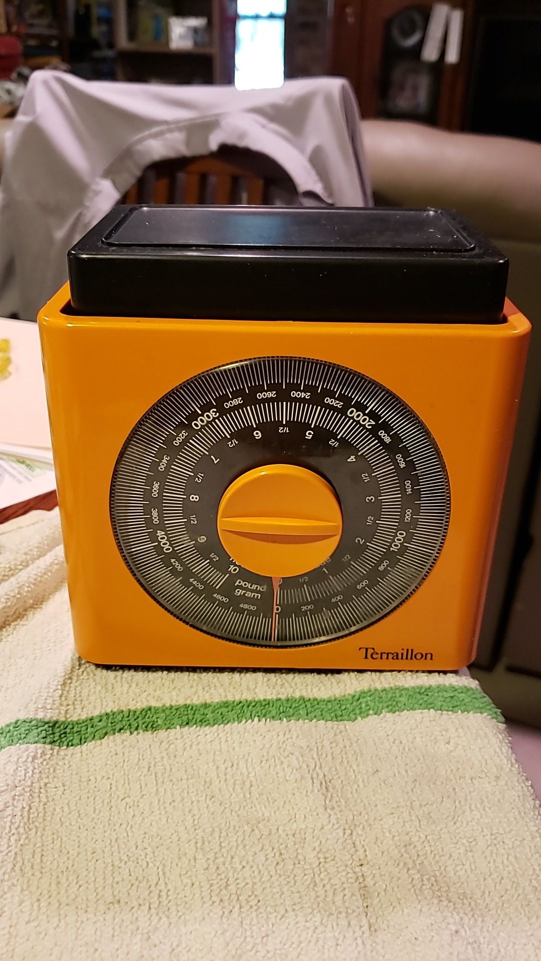 Terraillon Scale