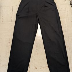 Uniqlo Wide Pleated Pants Large 