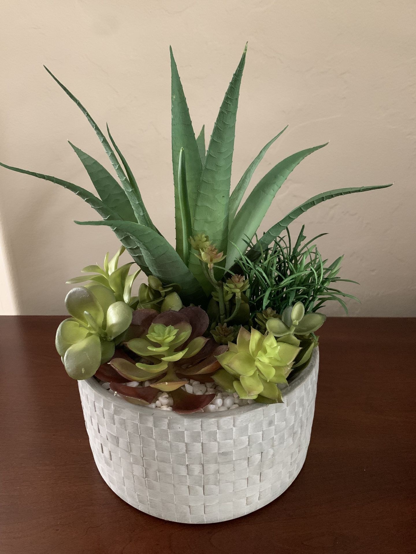 Decorative Cactus Plant In Ceramic Pot