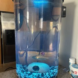 6 Gallon Aquarium Fish Tank