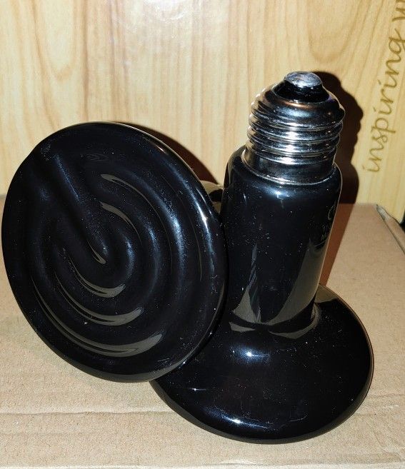 Reptile Warm Lamp