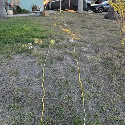 2 - 50 ft string lights heavy duty industrial ULine