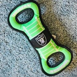 NFL FOOTBALL FIELD DOG TOY.
LIKE NEW!