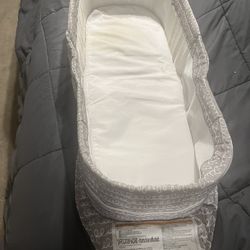 Baby delight snuggle Nest 