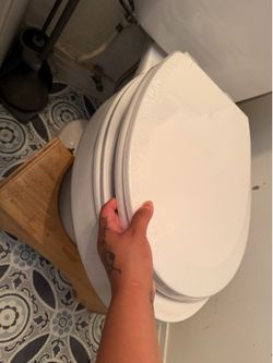 Toddler toilet seat  replacement