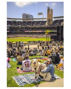 Bark at the Park Padres Tickets 9/9/26