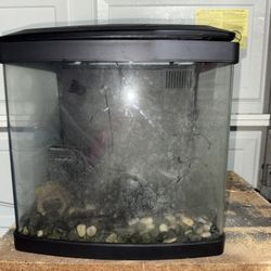 BioCube 16 Gal Fish Tank