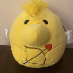 Squishmallows  “Woodstock 