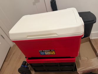 Large Cooler 48Quarts