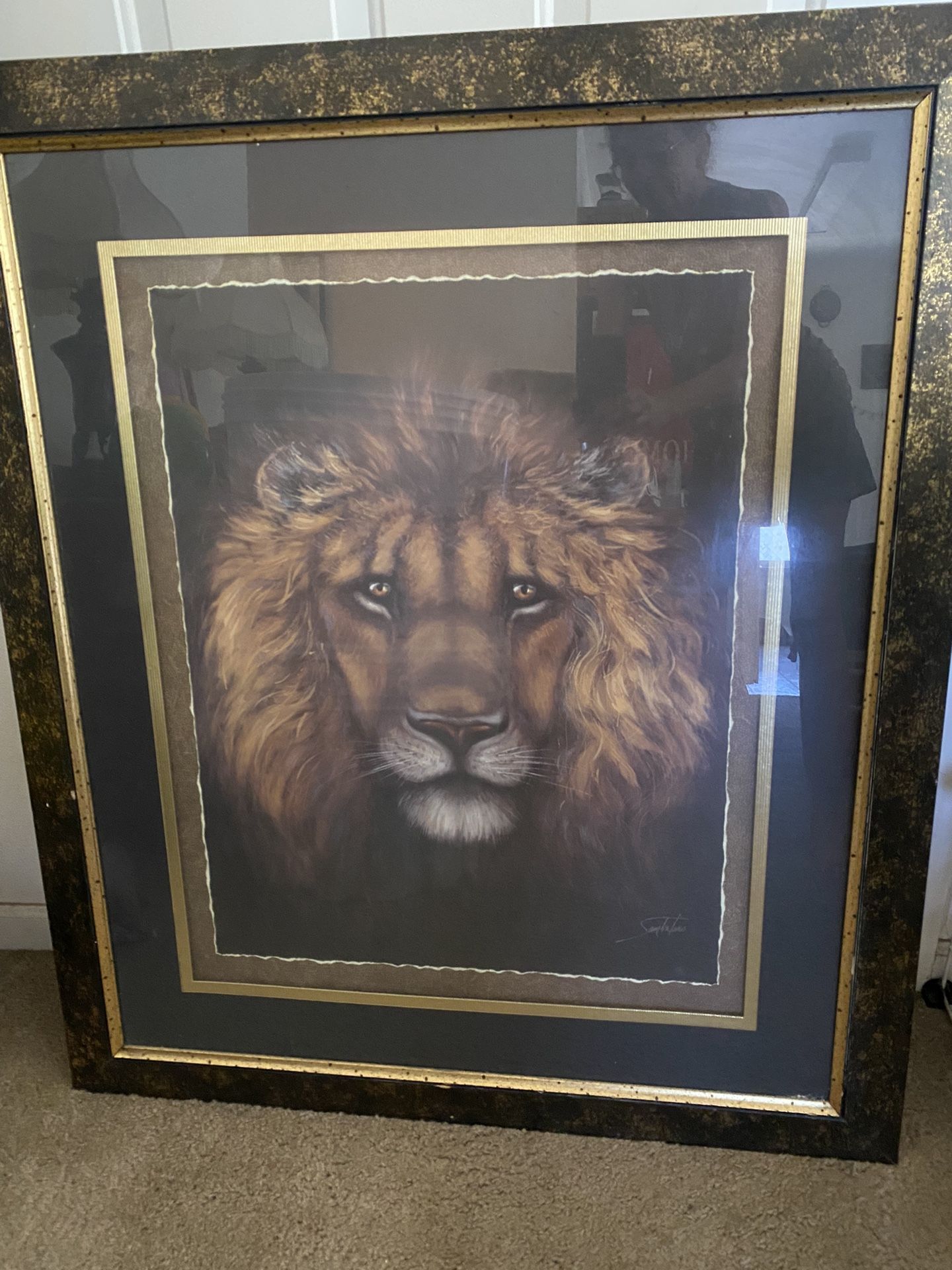 Beautiful, Huge lion picture