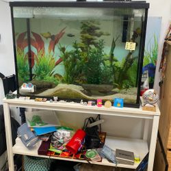 Fish Tank. 40 Gallons. 