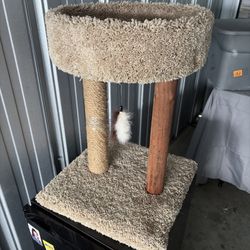 Cat Scratch & Play cuddler 