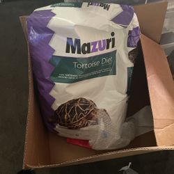 Turtle /tortoise  Food