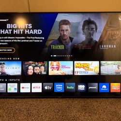 65 In Vizio Flat Screen Tv 