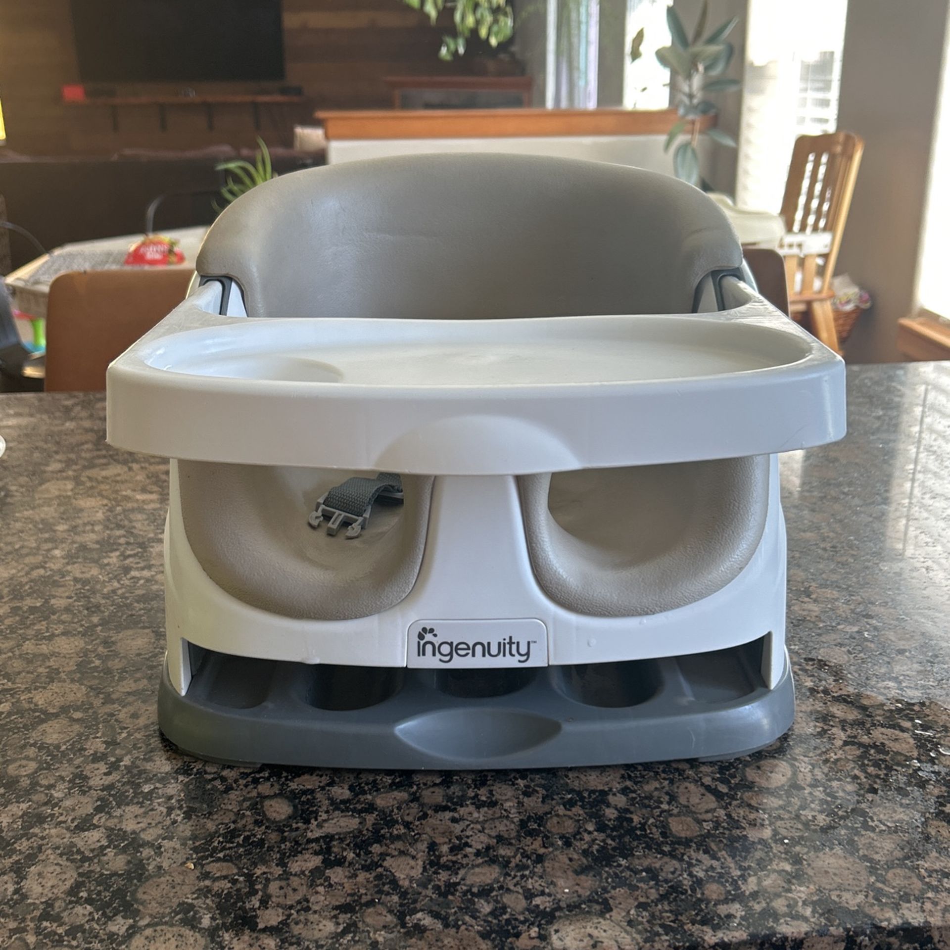 Baby Booster Seat