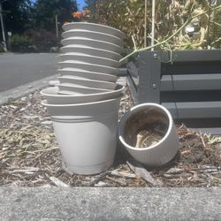 Plastic Plant Pots