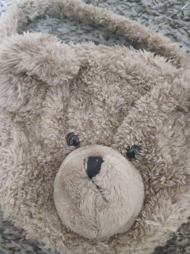 A Little Girl's Bear Purse