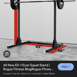 Rogue squat bench press rack
