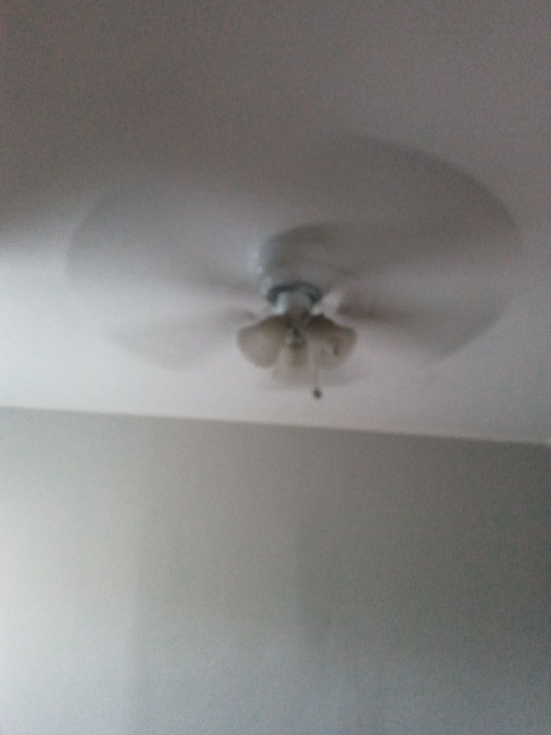 ceiling fans