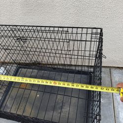 Dog Crate