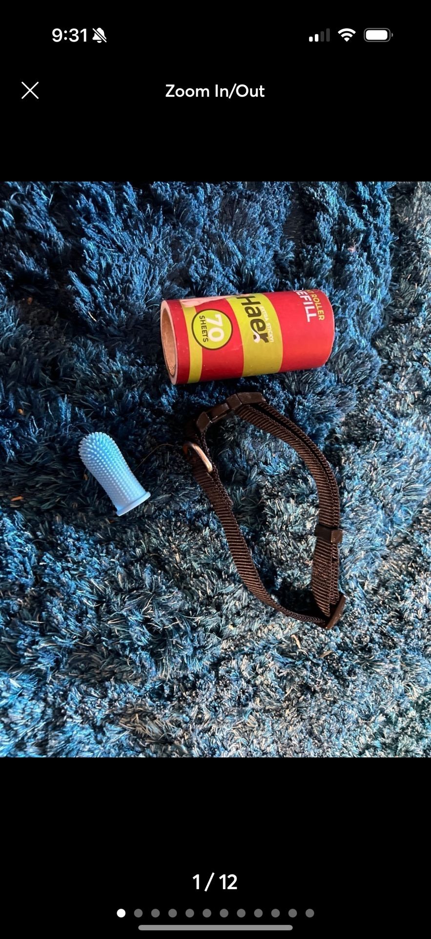 dog pet supplies