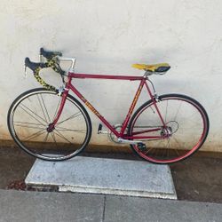 Tortelli Bike 57 Italian Bike Che Vince Vintage