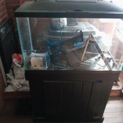 29 Gallon Complete Setup 