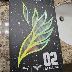 02 M.E.L.O. Rick & Morty's