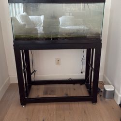 50 Gallon Fish Tank And stand 