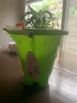 Sand Castle Pail & Shovel