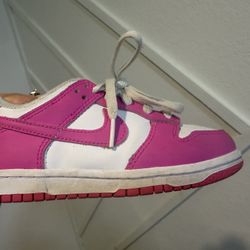 Nike Kid Dunks