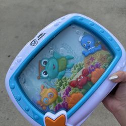 Baby Einstein Toy