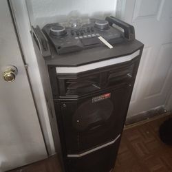 Dragon Technology 2 ,12 Inch Speakers 