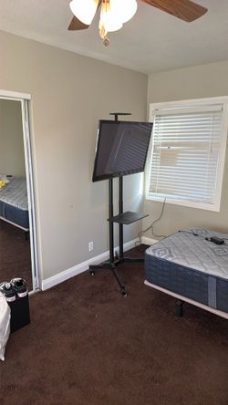Tv and Rolling Tv Stand
