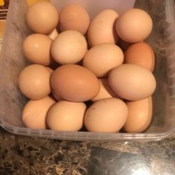 20$ For 36 Eggs