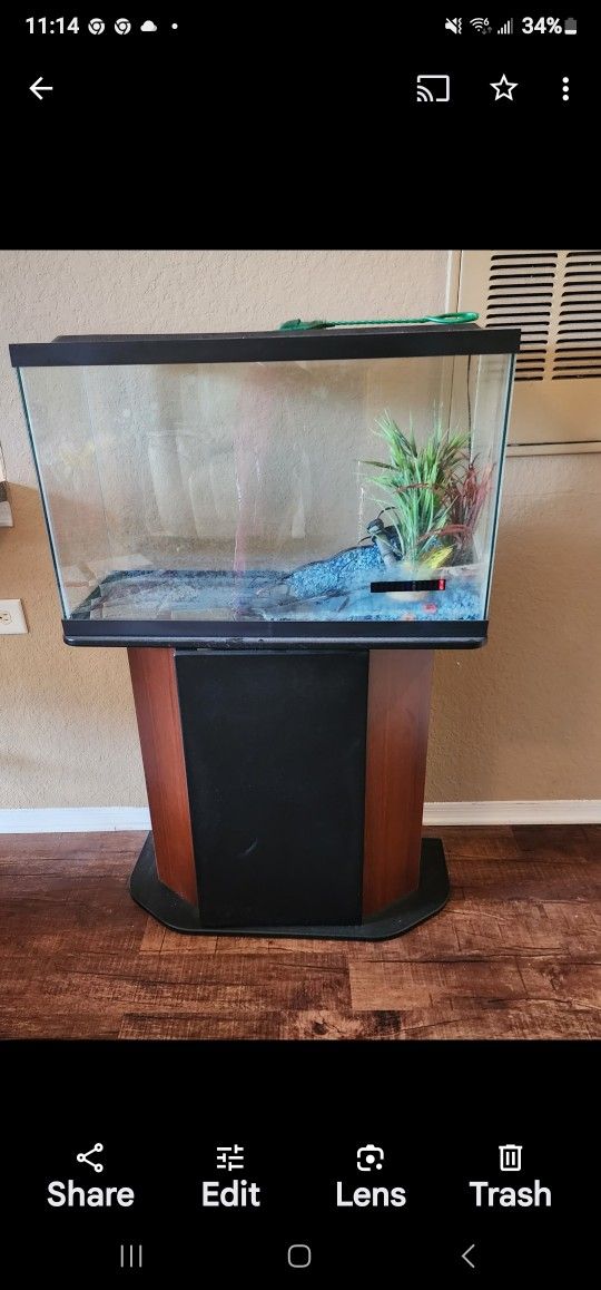 My Aquarium
