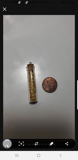 24k gold flake necklace charm Pendant 