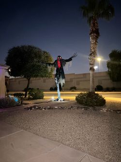 2025 galley Crow 18 feet tall mint  condition lights up and motion sensor