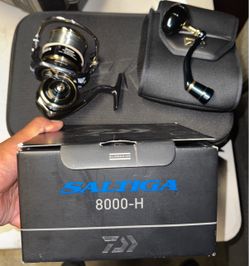 Saltiga 8000 h