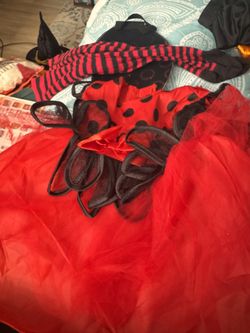 Ladybug costume