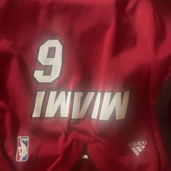 Miami Heat Lebron James Jersey