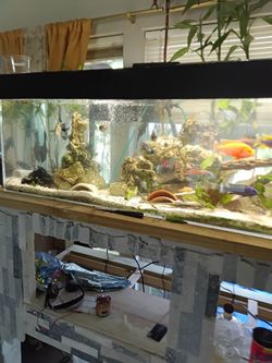 150 gallon