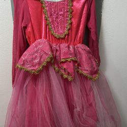 Girl Dress Size 5-6  Costume Disney
